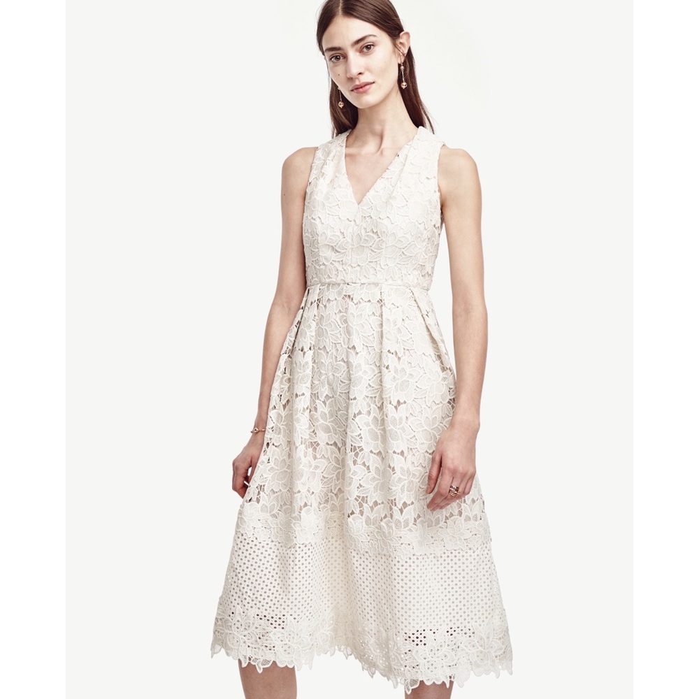 Ann Taylor Floral Lace Flare Dress